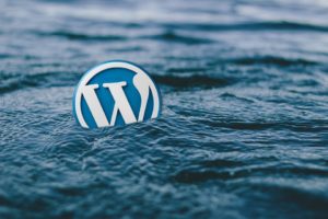 Wordpress a jeho výhody a nevýhody